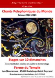 photo Stage de Chants Polyphoniques du Monde