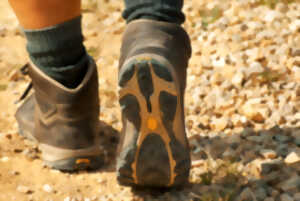 Trail des coteaux