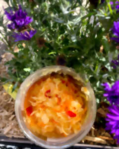 Atelier Lactofermentation