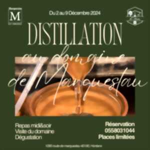 Distillation au Domaine Marquestau
