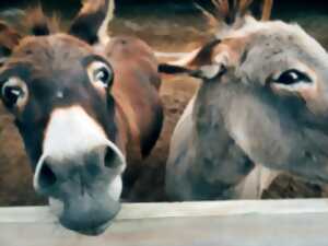 Vente à la ferme Earl Lédanès