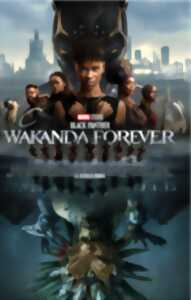 Cinéma :  Black Panther: Wakanda Forever