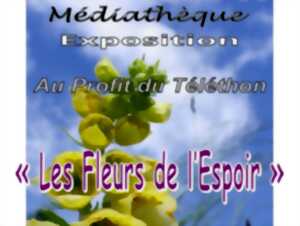 photo Exposition Association de Velles