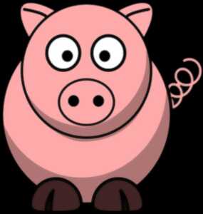 Dégustation et vente à la ferme de viande de porc bio