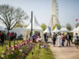 photo Garden en Fleurs