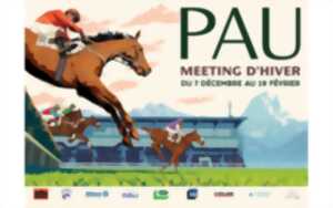 Course Hippodrome de Pau - Grand Prix de Pau Biraben Foie Gras