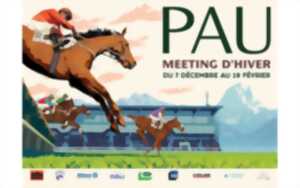 Courses Hippodrome de Pau - Meeting d'Hiver
