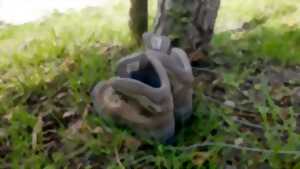 photo Marché animé ambiance de Noël