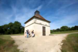 photo La plume et la toile