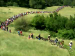 LA MARCHE DU SEL