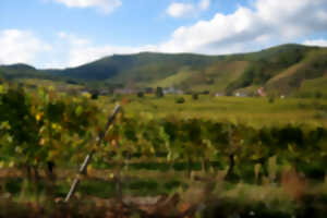 photo Club Vosgien : Villages d'histoire, châteaux de légende