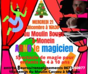photo Air de jeux : Structures gonflables