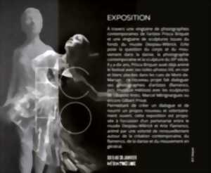 Festival Arte Flamenco - Exposition