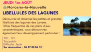 Les Landes au Printemps - À la découverte des lagunes