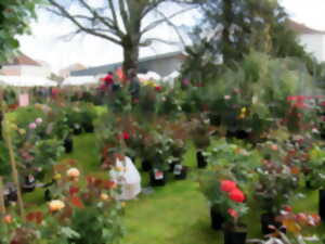 Festiplantes - Festibio 13ème édition