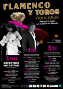 Festival Flamenco y toros