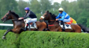 photo Courses hippiques