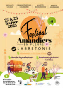 photo Festival des amandiers en fleurs