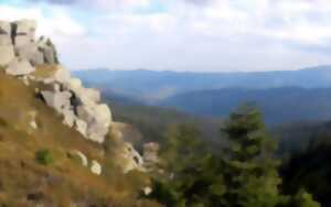 photo Club Vosgien : Les poilus de l'Alaska