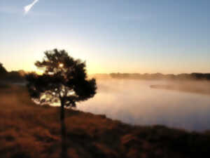 Ciné-débat: Le castor, allié des zones humides