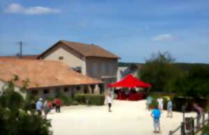 photo Concours de pétanque nocturne
