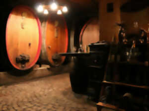 photo Apéro Gourmand chez le vigneron indépendant d'Alsace - Domaine Schneider Xavier