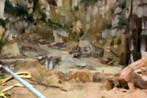 Visite des carrières de granit rose