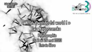 Exposition « What a wonderful world ! »