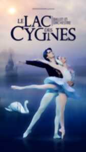 Le Lac des Cygnes
