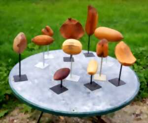 Exposition - Didier Rousseau-Navarre