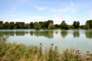 Fête de l'étang