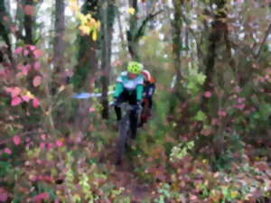 photo Prix de l'A.C.C