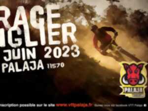 RANDONNÉE VTT : LA TRACE DU SANGLIER