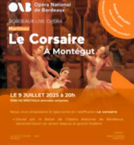 photo Ballet : Le Corsaire