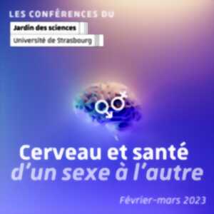 Conférence : Sex(-isme) dans la recherche biomédicale ?