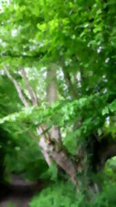 photo Balade nature sur l'Espace Naturel Sensible 