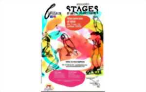 photo Stage d'art plastique vacances été