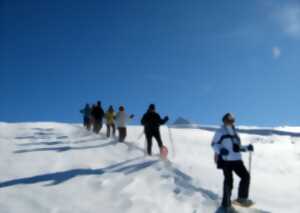 photo Sortie raquettes à neige en Pyrénées béarnaises