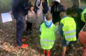 photo Sortie nature : Éloge de la biodiversité forestière