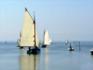 photo Voiles en liberté