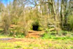 Visite du site archéologique par le sentier des Grottes du Pape