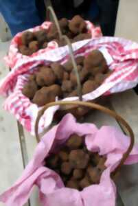 Marché aux Truffes à Lalbenque