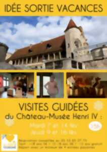 photo Visites guidées du Château-Musée Henri IV pour les Vacances de février