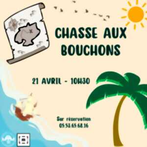 Chasse aux bouchons au Musée du liège