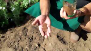 Atelier : Soigner avec des plantes