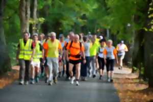 Marche Audax 25-50-75 km - Circuit de l'aigle d'or