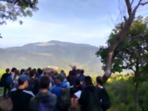 photo Visite guidée : grande visite du champ de bataille du Hartmannswillerkopf