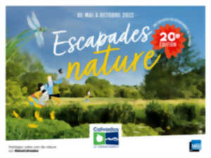 photo Sortie nature “Sur les traces des canidés sauvages”