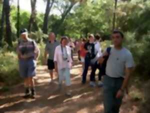 photo Annulé - Partez à la découverte de la Réserve Naturelle du Courant d'Huchet