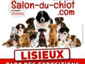 photo Salon du chien et du chat
